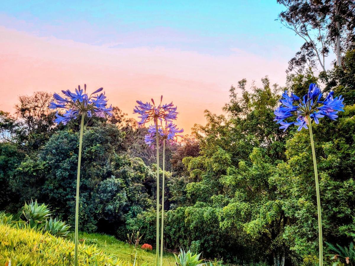 Pousada Dharma Luz E Paz Bragança Paulista Exterior foto